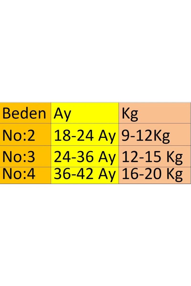 Erkek Bebek 3'lü Erkek Bebek Alıştırma Külodu (RENK VE DESENLERDE FARKLILIK OLABİLİR) · görsel 3